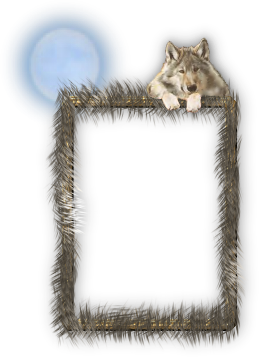 sticker_20992090_30768911