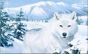 sticker_19019616_31156505