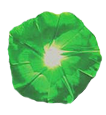 sticker_14158913_21489156