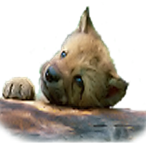 sticker_756552_5914694