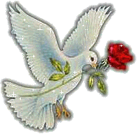 sticker_8974162_20066582