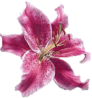 sticker_20657373_37664540