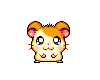 sticker_2593245_24290914