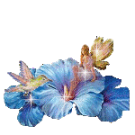 sticker_11953067_26286491