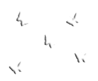sticker_13870795_40518210