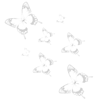 sticker_11692944_15731175