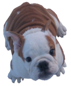 sticker_4334524_36227504