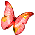 sticker_13785946_28544196