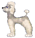 sticker_14157202_27924054