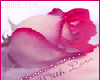 sticker_21068923_32316104