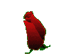 sticker_5126027_46619007