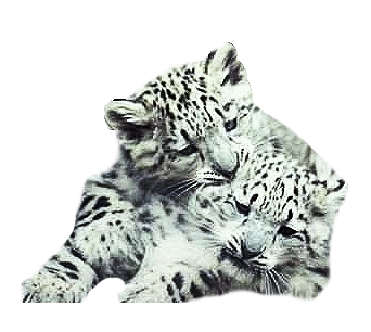 sticker_7441559_39878798