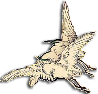sticker_27056606_37517427