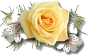sticker_7470299_9332509