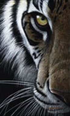 sticker_20328914_29051312