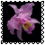 sticker_6195420_40649653