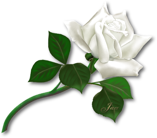 sticker_11501479_39944796