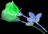 sticker_19851361_28965537