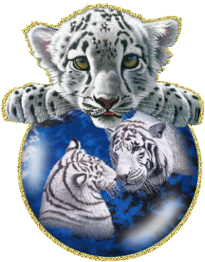 sticker_7441559_40160896