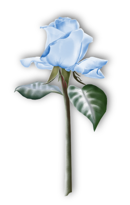sticker_23910053_38574644