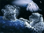 sticker_11293353_14602691