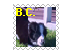 sticker_19603702_33579990