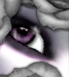 sticker_12303920_39670514