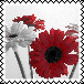 sticker_6171825_34039265