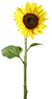 sticker_11644968_16673483