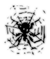 sticker_19370535_35711682