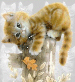 sticker_791853_23007244