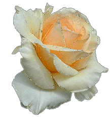 sticker_26182189_46135287