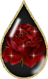 sticker_10738847_32319514