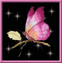 sticker_5355487_9692786