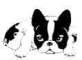 sticker_11940624_24779371