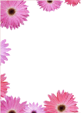 sticker_26775861_36446487