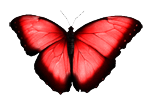 sticker_947493_1550632