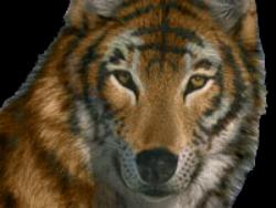 sticker_17655176_25567618