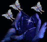 sticker_17465709_22901223