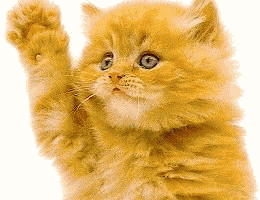 sticker_12025019_16235167