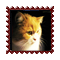 sticker_6920856_39624964