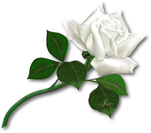 sticker_5278950_36313772