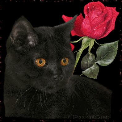sticker_26191929_36741132