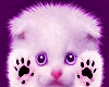 sticker_23249456_35788604