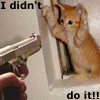 sticker_2298293_6753806