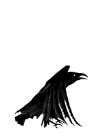 sticker_27107285_36691449