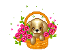sticker_11964741_29522187