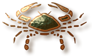 sticker_11886299_14879555