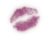 sticker_13957662_18000527
