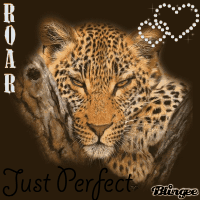 sticker_22795194_37394193
